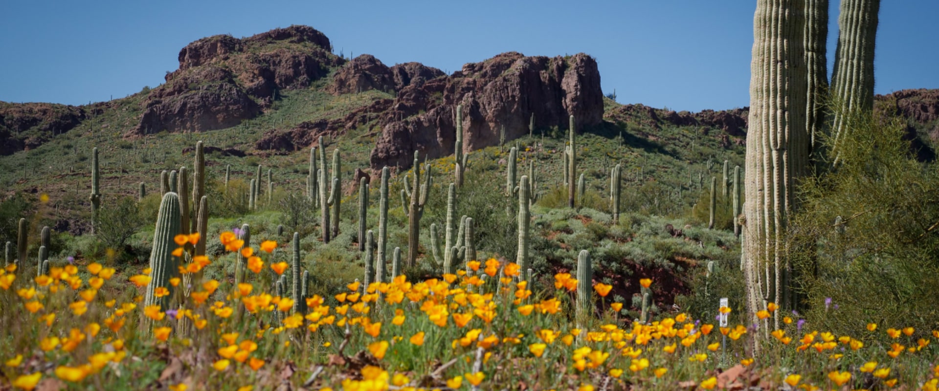 Exploring the Environmental Services in Pinal County, Arizona